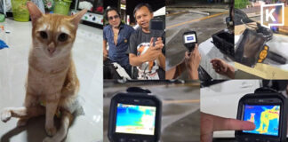 Search for missing disabled cat intensifies at Chumphon Station Search for missing disabled cat intensifies at Chumphon Station