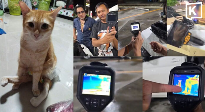 sisom_headline_0 Search for missing disabled cat intensifies at Chumphon Station