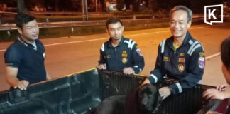 Community comes together to treat dog dragged along Lampang road