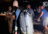 Four foreign divers found safe after going missing off Samae San