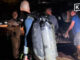 Four foreign divers found safe after going missing off Samae San PAAAAA1BMVEWurq51dlI4AAAAAXRSTlMmkutdmwAAAA5JREFUKM9jGAWjYJABAAKUAAHoEAeuAAAAAElFTkSuQmCC