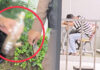 24-year-old man warned after smoking cannabis at Nakhon Nayok hospital 24-year-old man warned after smoking cannabis at Nakhon Nayok hospital