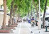 Bangkok asks public to stop food handouts on Ratchadamnoen to curb homeless gatherings