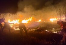 Wildfire in Indonesian national park grows