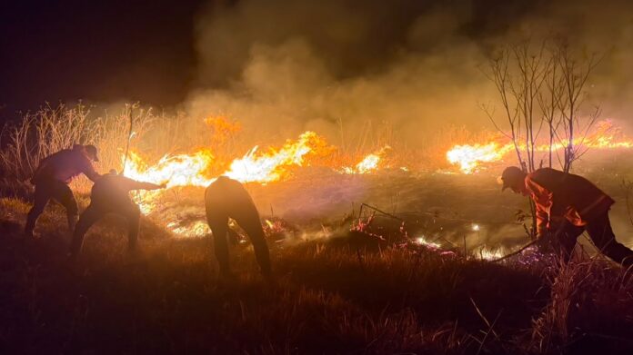 Indonesia Wildfire