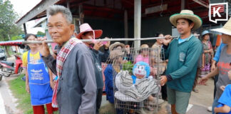 Doraemon replaces real cat in Thai rain ritual Doraemon replaces real cat in Thai rain ritual