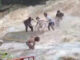 Flash flood hits Mae Sa waterfall, tourist swept downstream Flash flood hits Mae Sa waterfall, tourist swept downstream