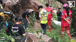 Human skeleton found on Khon Kaen mountain as police seek identity