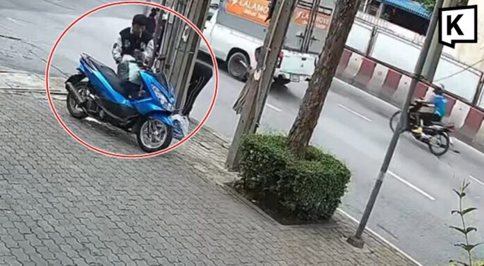 Police hunt rider after 72-year-old woman killed in hit-and-run