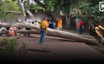 Tree breaks at Ayutthaya temple, injuring four tourists Tree breaks at Ayutthaya temple, injuring four tourists