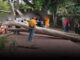 Tree breaks at Ayutthaya temple, injuring four tourists Tree breaks at Ayutthaya temple, injuring four tourists