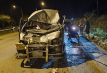 Van crashes into wild elephant crossing road in Rayong Van crashes into wild elephant crossing road in Rayong