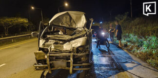 Van crashes into wild elephant crossing road in Rayong Van crashes into wild elephant crossing road in Rayong