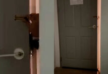 Woman terrified after hotel guest tries to enter her room at 4 in the morning Woman terrified after hotel guest tries to enter her room at 4 in the morning
