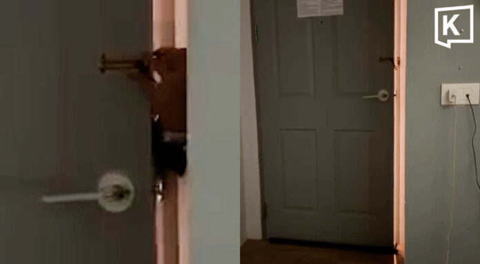 Woman terrified after hotel guest tries to enter her room at 4am Woman terrified after hotel guest tries to enter her room at 4 in the morning