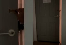 Woman terrified after hotel guest tries to enter her room at 4am Woman terrified after hotel guest tries to enter her room at 4am