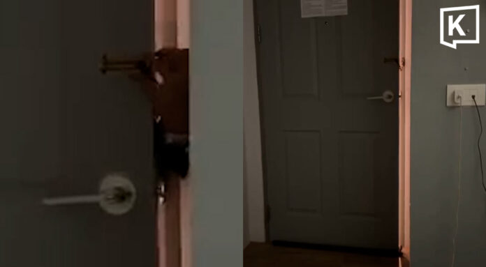 Woman terrified after hotel guest tries to enter her room at 4am Woman terrified after hotel guest tries to enter her room at 4am