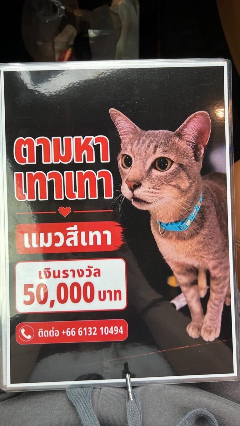news155906 bbWpiNRl6I1787240935