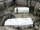 1,500-year-old skeletons lifted from Don Yai Thong site PAAAAA1BMVEWurq51dlI4AAAAAXRSTlMmkutdmwAAAA5JREFUKM9jGAWjYJABAAKUAAHoEAeuAAAAAElFTkSuQmCC