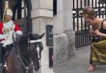 Thai tourist’s graceful curtsy to King’s Guard goes viral with over 4 million views