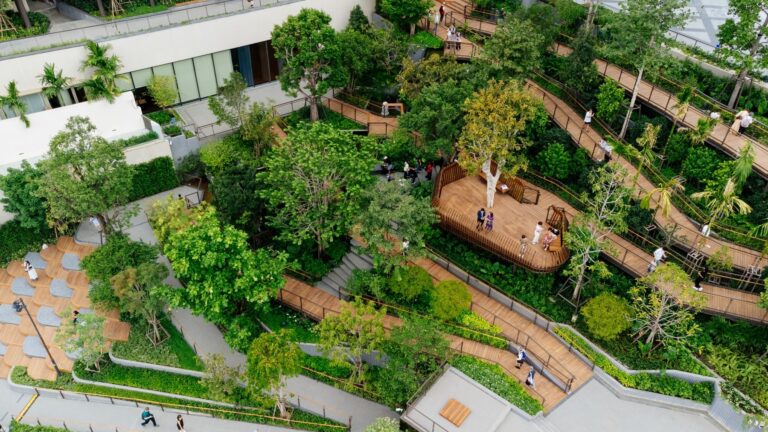 10 Central Park Marks One Year of Success 0
