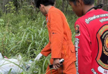 100kg of pork bones and meat dumped in Buriram forest