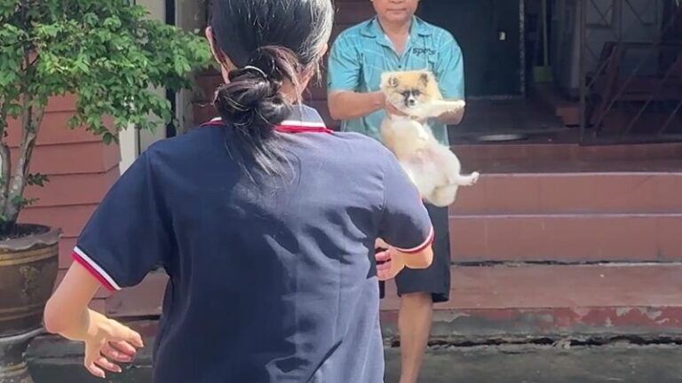 29 ทรุด6