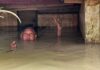 Ayutthaya residents call for earlier flood warnings as water rises