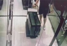 Taiwan man arrested after Thai girlfriend’s body found in freezer
