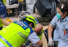 Mother, 48, falls from 4th floor with 3-year-old daughter Mother, 48, falls from 4th floor with 3-year-old daughter