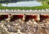 Government warns Chao Phraya communities as dam releases rise