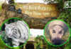 Khao Kheow Open Zoo offers free admission to children and seniors on 23 October