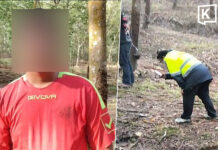 Wild elephant kills woman in Chonburi rubber plantation as husband watches helplessly
