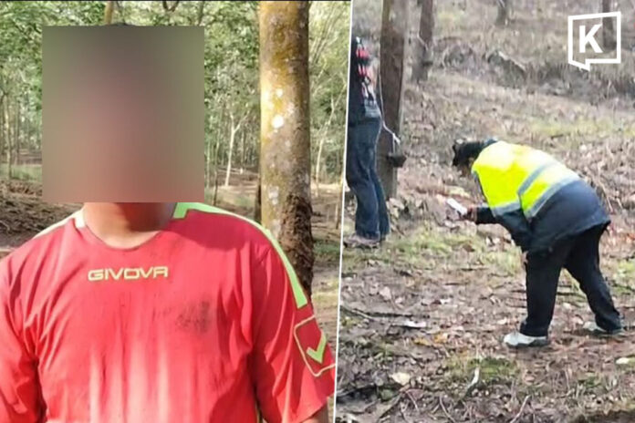 Elephant Kills Woman Chonburi