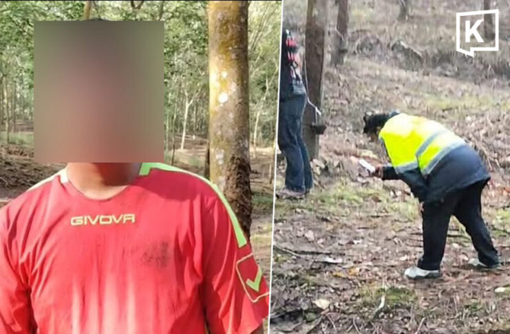 Wild elephant kills woman in Chonburi rubber plantation as husband watches helplessly