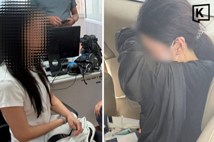 Flight Attendant Migrant Smuggling