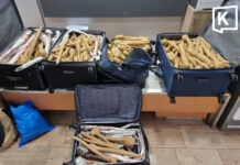 Israeli doctor faces legal action after smuggling 300 Thai plants in luggage