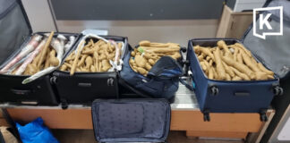 Israeli doctor faces legal action after smuggling 300 Thai plants in luggage