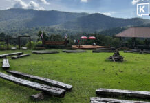 Chiang Mai tourism picks up as cool weather draws visitors to Doi Inthanon