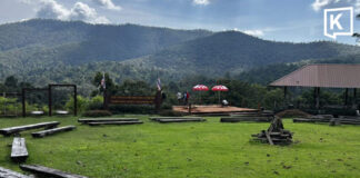Chiang Mai tourism picks up as cool weather draws visitors to Doi Inthanon