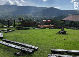 Chiang Mai tourism picks up as cool weather draws visitors to Doi Inthanon