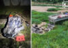 Family injured after car plunges from closed bridge in Kamphaeng Phet