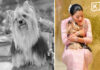 Princess Sirivannavari bids heartfelt farewell to beloved dog Perfume after 15 years