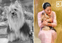Princess Sirivannavari bids heartfelt farewell to beloved dog Perfume after 15 years