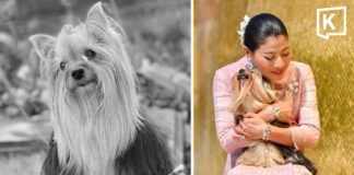 Princess Sirivannavari bids heartfelt farewell to beloved dog Perfume after 15 years