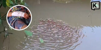 13-year-old boy attacked by giant snakehead fish while playing with fry 13-year-old boy attacked by giant snakehead fish while playing with fry
