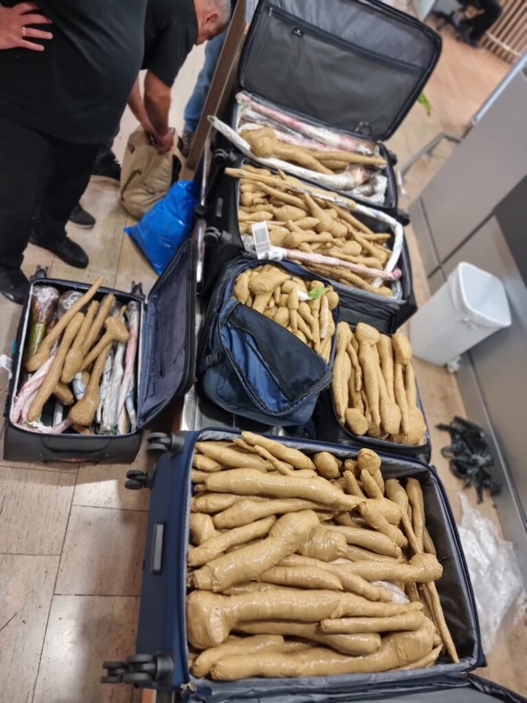 5 מזוודות שתילי בננה בנתבג קרדיט משרד החקלאות וביטחון המזון 2