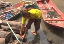 Melioidosis kills 45 in four northeastern provinces