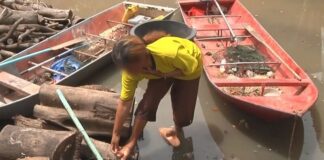 Melioidosis kills 45 in four northeastern provinces
