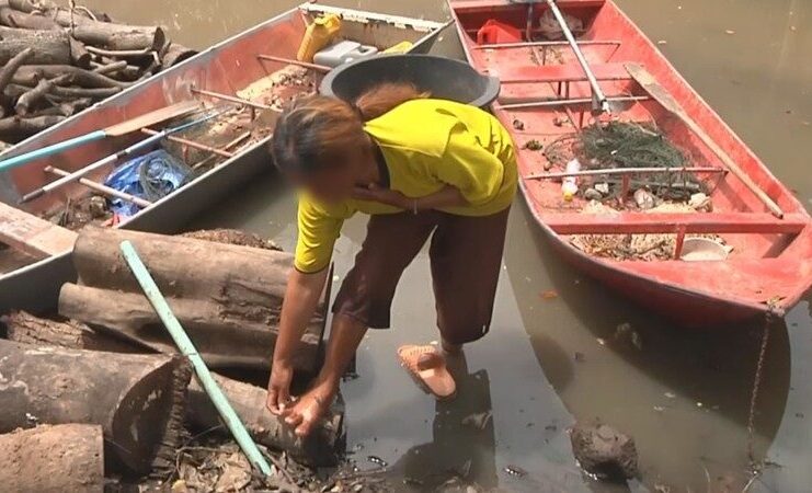 Melioidosis kills 45 in four northeastern provinces